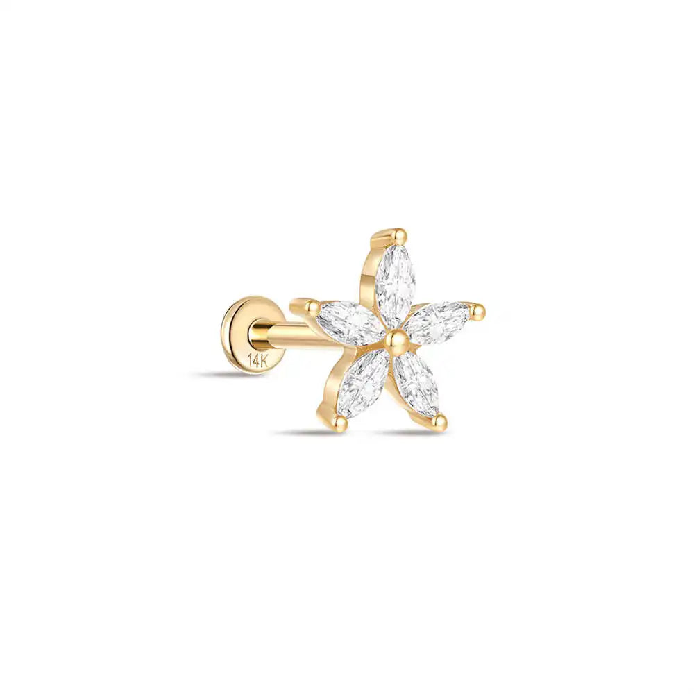 Etoile brillant